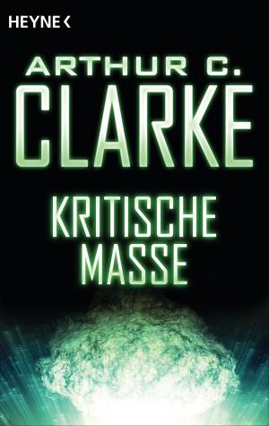 Cover of the book Kritische Masse by Robert Ludlum