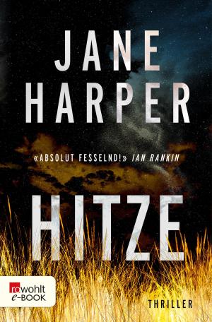 Cover of the book Hitze by Grayson James
