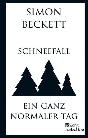 Cover of the book Schneefall & Ein ganz normaler Tag by Fritz J. Raddatz