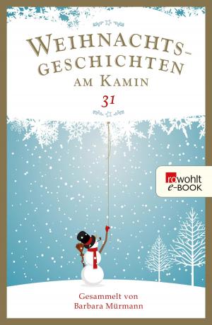 Book cover of Weihnachtsgeschichten am Kamin 31