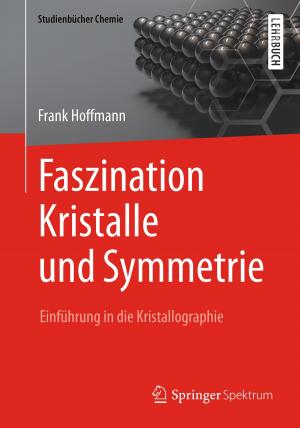 Cover of Faszination Kristalle und Symmetrie