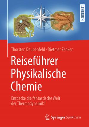 Cover of the book Reiseführer Physikalische Chemie by Hartmut König