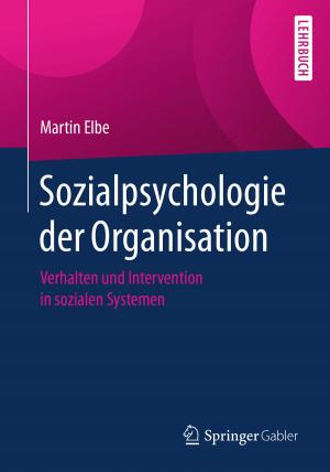Cover of the book Sozialpsychologie der Organisation by Stefan Emeis
