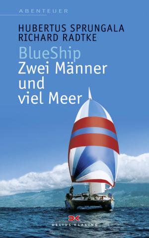 Book cover of BlueShip - Zwei Männer und viel Meer