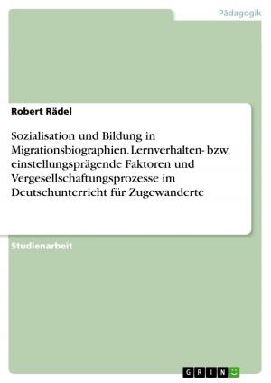 Cover of the book Sozialisation und Bildung in Migrationsbiographien. Lernverhalten- bzw. einstellungsprägende Faktoren und Vergesellschaftungsprozesse im Deutschunterricht für Zugewanderte by Carina Groth