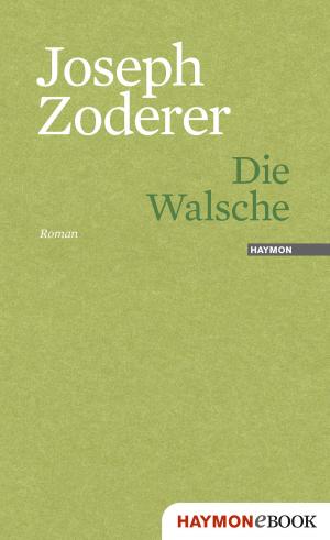Cover of the book Die Walsche by Bernhard Aichner