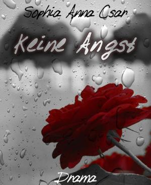 Cover of the book Keine Angst by Priscilla Laster