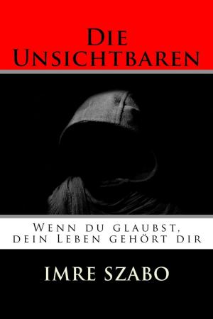 Cover of the book Die Unsichtbaren by Noah Daniels