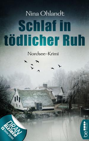 Book cover of Schlaf in tödlicher Ruh