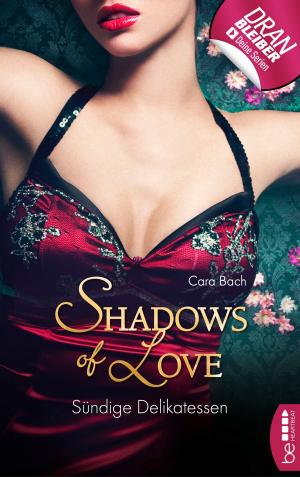 Cover of the book Sündige Delikatessen - Shadows of Love by Stephan Russbült
