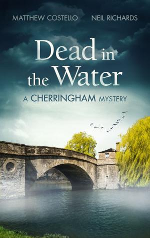 Cover of the book Dead in the Water by Libi Astaire