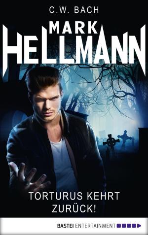 Cover of the book Mark Hellmann 21 by Stefan Frank