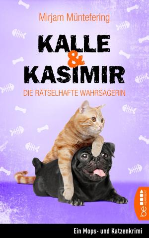 Cover of the book Kalle und Kasimir - Die rätselhafte Wahrsagerin by Nicole C. Vosseler