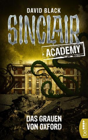 Cover of the book Sinclair Academy - 05 by Poppy J. Anderson