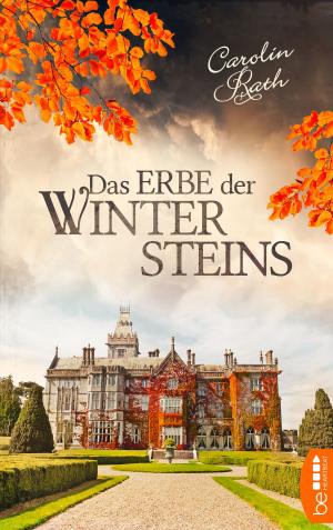 Book cover of Das Erbe der Wintersteins