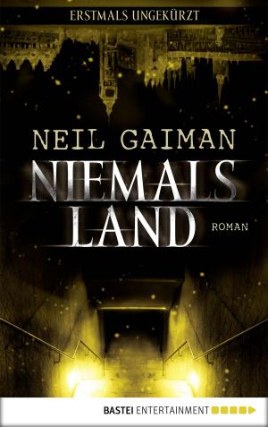Book cover of Niemalsland