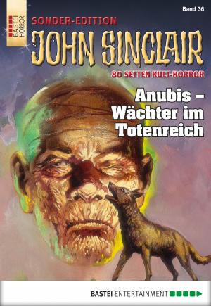 Book cover of John Sinclair Sonder-Edition - Folge 036