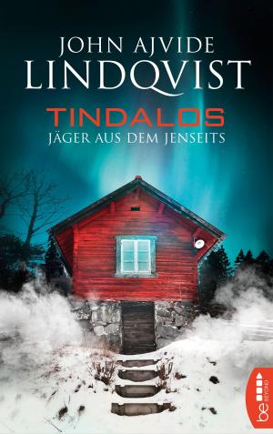 Cover of the book Tindalos by Ivar Leon Menger, John Beckmann