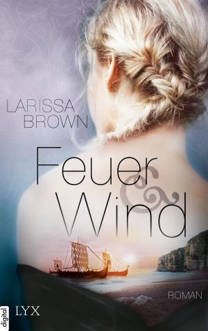 Cover of the book Feuer und Wind by Kim Nina Ocker