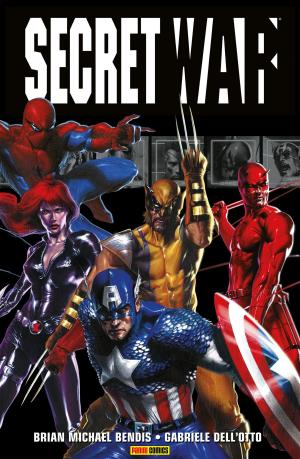 Cover of the book Secret War by Brian Bendis
