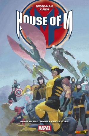 Cover of the book House of M by Mark Waid