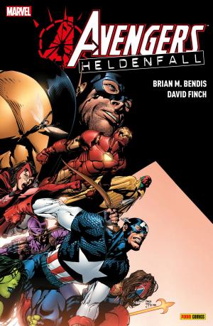 bigCover of the book Avengers: Heldenfall by 