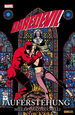 Cover of the book Daredevil: Auferstehung by Brian Bendis