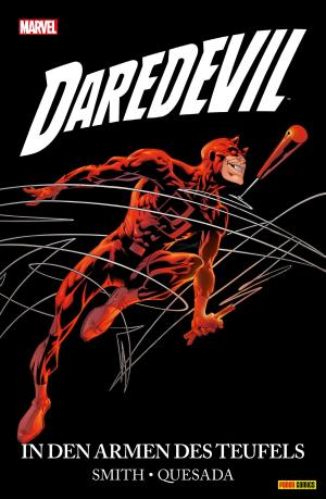 Book cover of Daredevil: In den Armen des Teufels