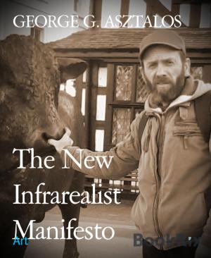 Cover of the book The New Infrarealist Manifesto by Anja Ollmert