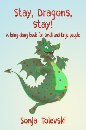 Cover of the book Stay, Dragons, stay! by Karin Lindberg