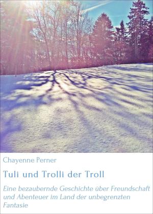 Cover of the book Tuli und Trolli der Troll by Adam P. Newton