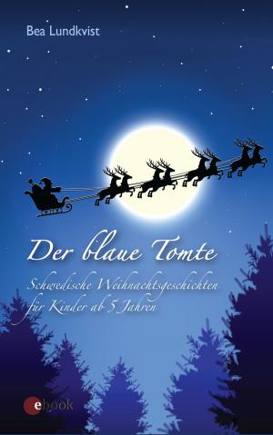 Cover of the book Der blaue Tomte by Christa Steinhauer