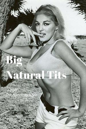 Cover of the book Big Natural Tits by Heinz Duthel