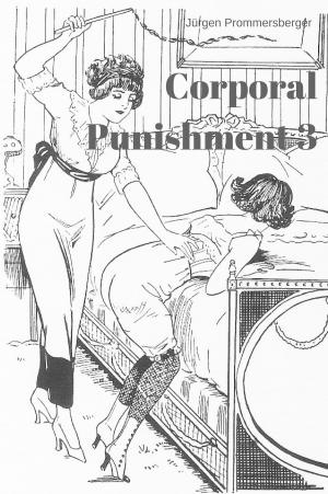 Cover of the book Die körperliche Züchtigung 3 / Corporal Punishment 3 by Hans Müller-Jüngst