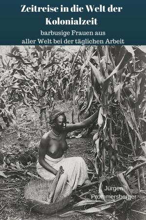Cover of the book Zeitreise in die Welt der Kolonialzeit: barbusige Frauen aus aller Welt bei der täglichen Arbeit by Mel Mae Schmidt