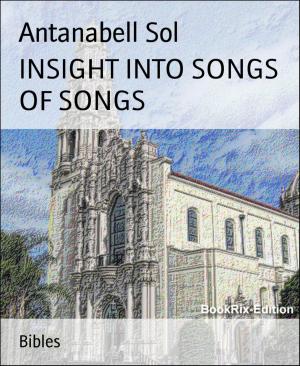 Cover of the book INSIGHT INTO SONGS OF SONGS by Ronald Barany, Ezra Barany