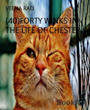 Cover of the book (40)FORTY WINKS IN THE LIFE OF CHESTER by Rüdiger Kaufmann
