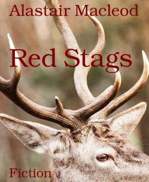 Cover of the book Red Stags by Jens Wahl