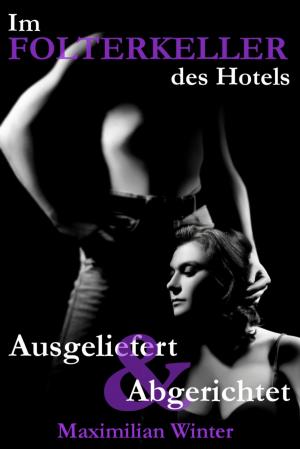 Book cover of Im Folterkeller des Hotels - Ausgeliefert & Abgerichtet