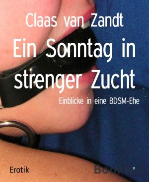 Cover of the book Ein Sonntag in strenger Zucht by Maxine Rivers
