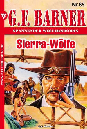 Cover of the book G.F. Barner 85 – Western by Britta Winckler