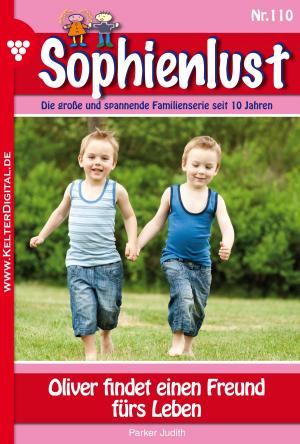 bigCover of the book Sophienlust 110 – Familienroman by 