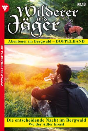 Cover of the book Wilderer und Jäger 13 – Heimatroman by Laura Martens