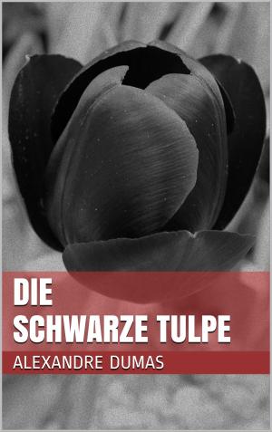 Cover of the book Die schwarze Tulpe by Peter Landgraf