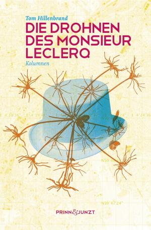 Book cover of Die Drohnen des Monsieur Leclerq