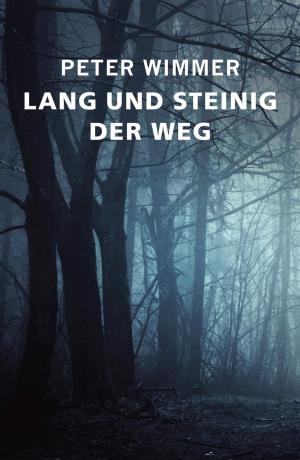 Cover of the book LANG UND STEINIG DER WEG by Robert Goldmann