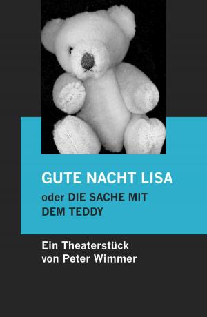Book cover of GUTE NACHT LISA oder DIE SACHE MIT DEM TEDDY