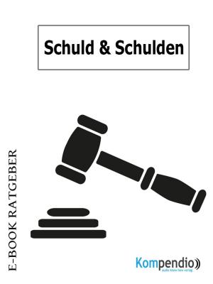 Cover of the book Schuld und Schulden by Louis Weinert-Wilton