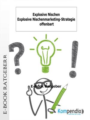 Book cover of Explosive Nischen