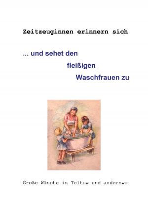 Cover of the book ... und sehet den fleißigen Waschfrauen zu by Robert Pfrogner